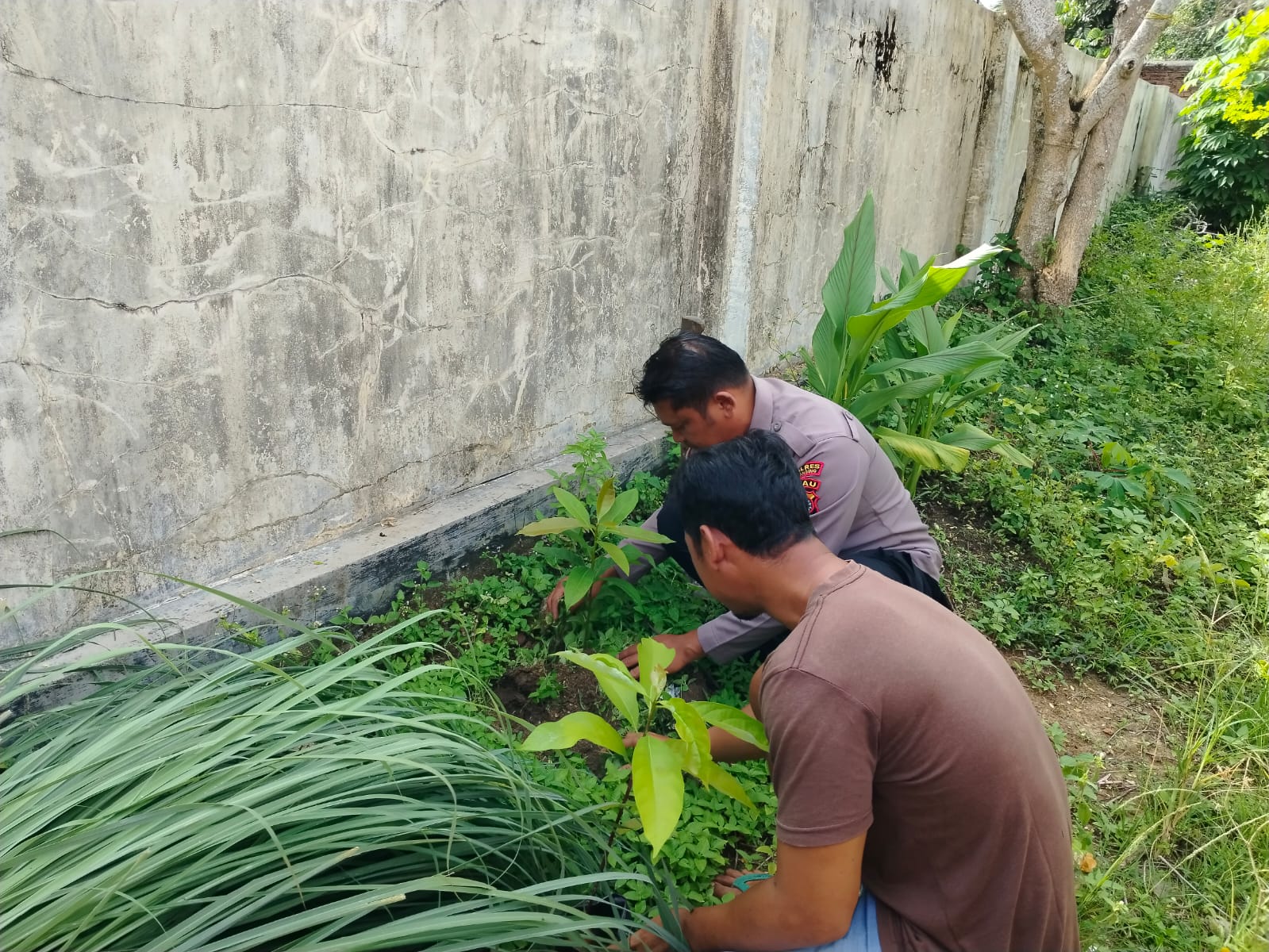 Polres Kuansing Laksanakan Program Green Policing, Kapolres: Menjaga Lingkungan Adalah Tanggung Jawab Bersama