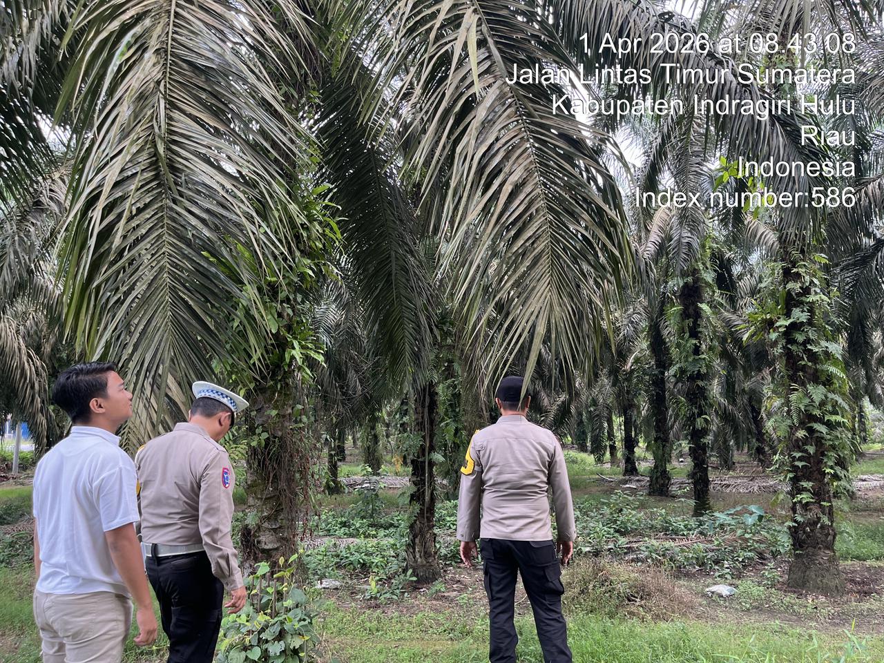 Cegah Aksi Pencurian Sawit, Polsek Seberida Intensifkan Patroli di Areal Perkebunan Pangkalan Kasai