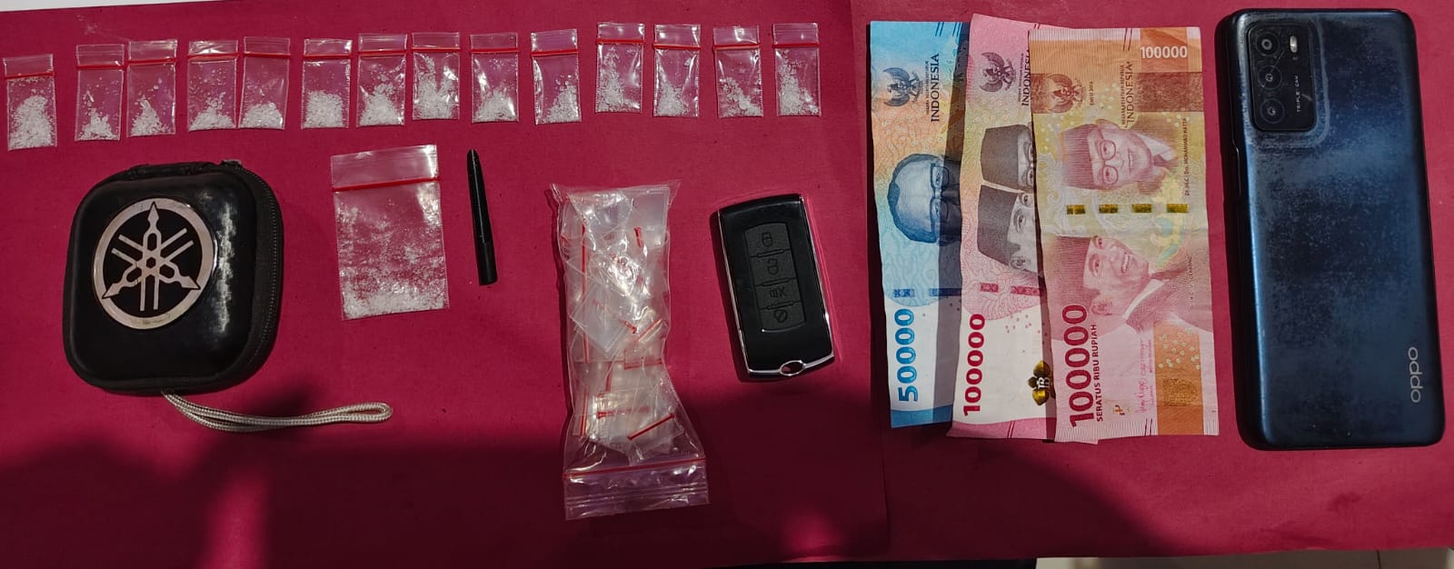 Pengedar Sabu Desa Air Emas Tak Berkutik Digerebek Unit Sat Narkoba Polres Pelalawan