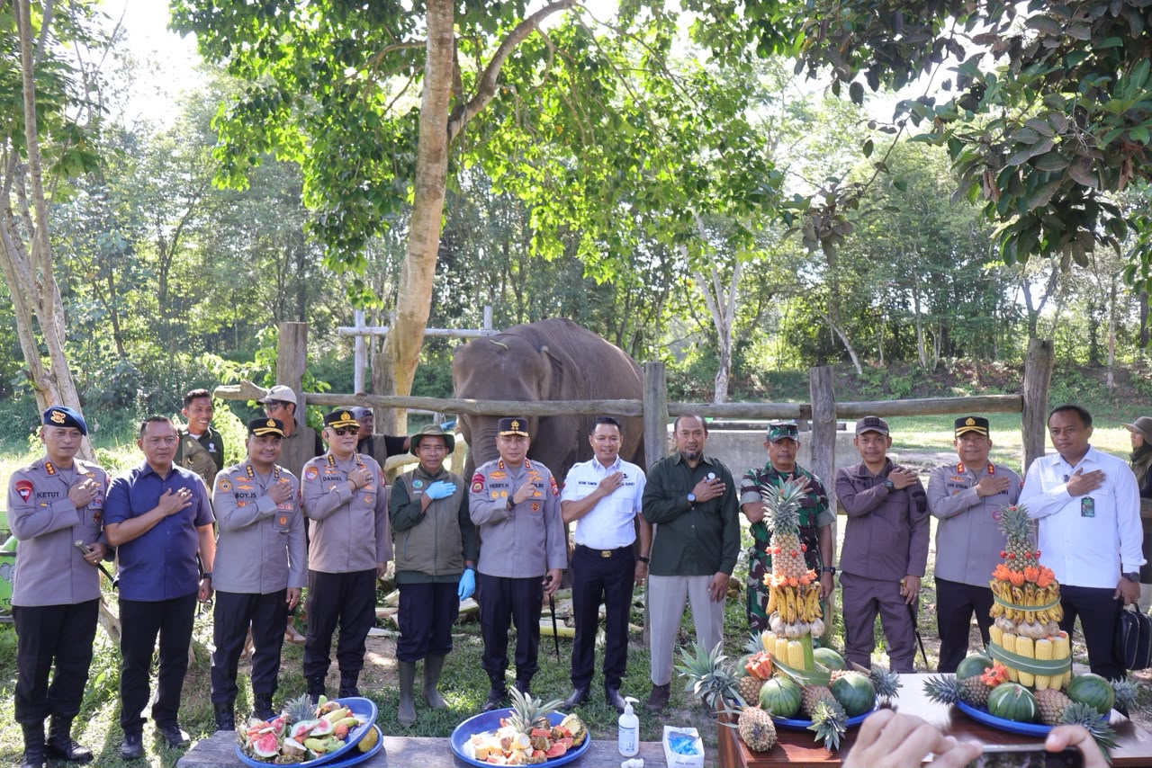 Kapolda Riau Resmikan Nama Anak Gajah "Nona Seroja" di Tesso Nilo, Tegaskan Komitmen Pelestarian Gajah Sumatera