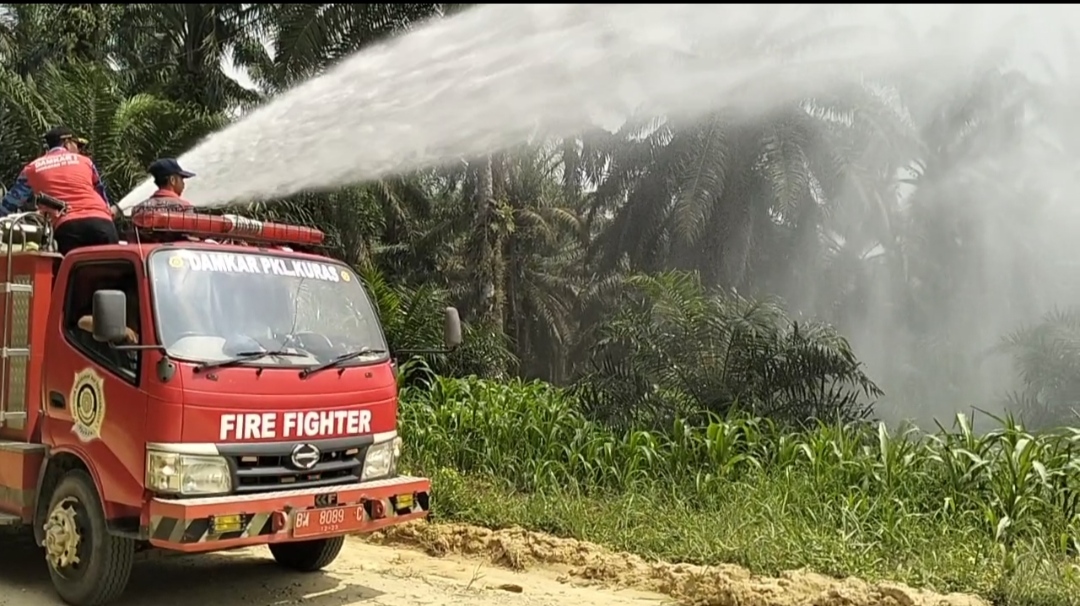 Damkar Pkl. Kuras Siram 12 Ha Jagung Pipil KUD Sialang Makmur, Polri Jaga Swasembada Pangan Saat Kemarau