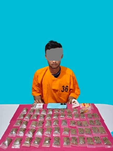 Satresnarkoba Polres Pelalawan Gerebek Rumah di Pkl Kerinci, 58 Paket Ganja Kering Siap Edar Diamankan