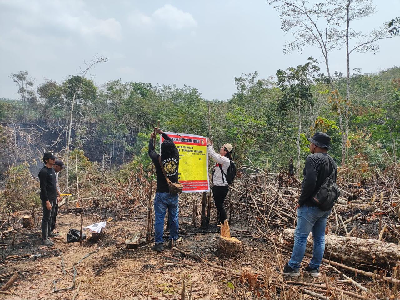 Ditinggal Makan, Api Membesar dan Hanguskan Kebun Karet, Pria Asal Air Molek Inhu Jadi Tersangka