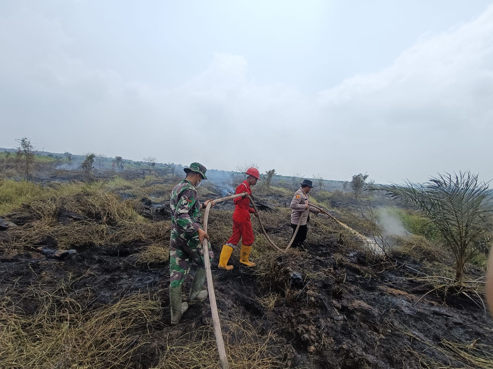 Update Pemadaman & Pendinginan Karhutla Hari Ke-7 di Desa Terusan Wilkum Polsek Pkl. Kerinci