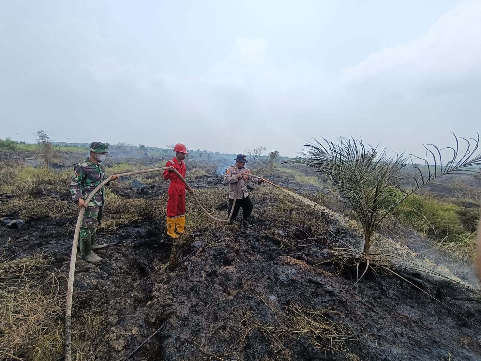 Update Pemadaman & Pendinginan Karhutla Hari Ke-7 di Desa Terusan Wilkum Polsek Pkl. Kerinci