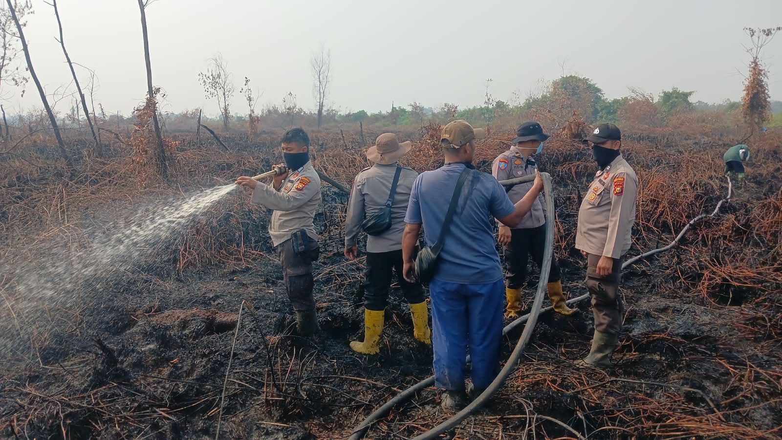 WAKAPOLRES PELALAWAN PIMPIN LANGSUNG, PADAMKAN KARHUTLA DI DRSA AUR KUNING KERUMUTAN