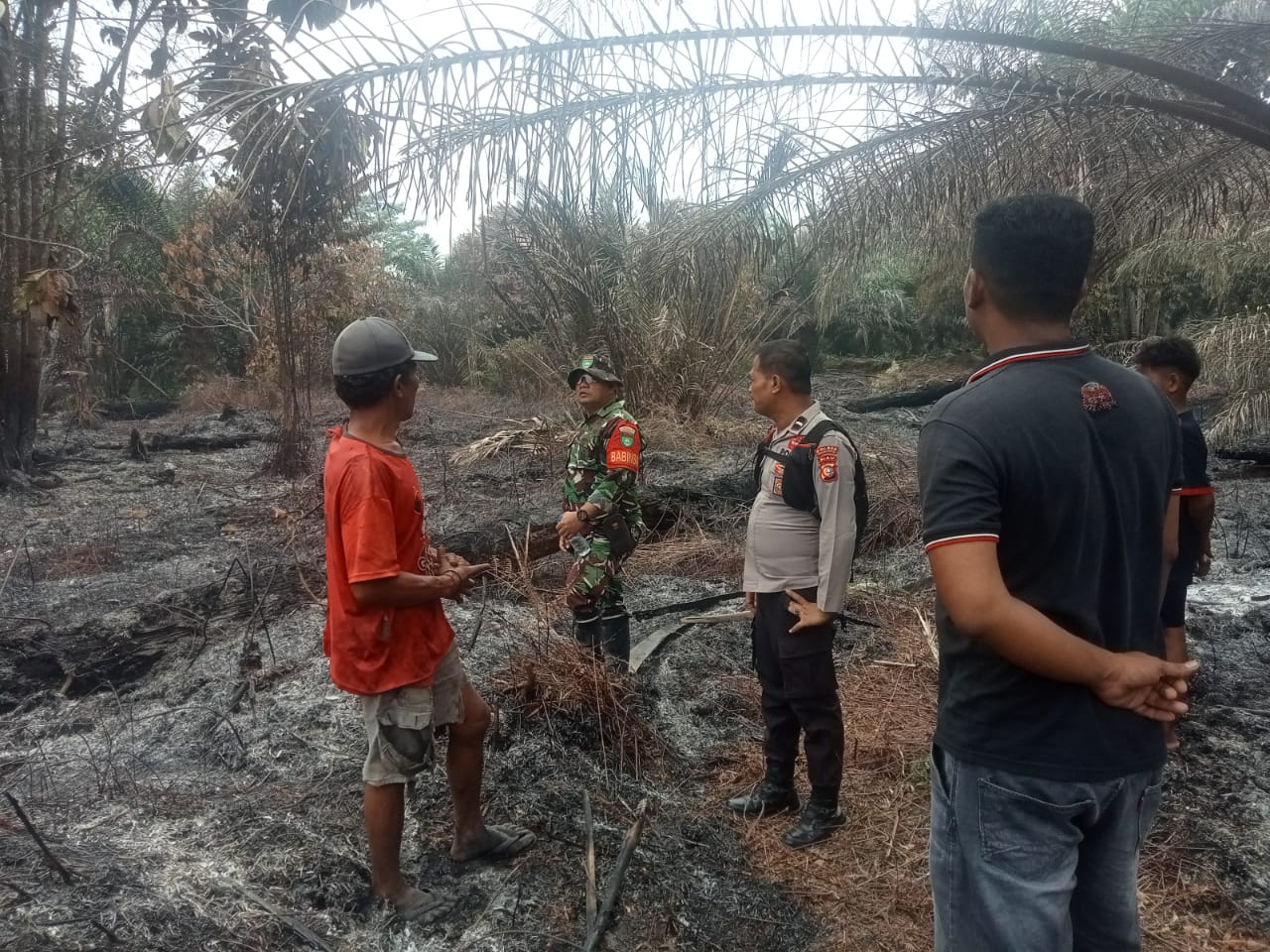 HOTSPOT DLK TERDETEKSI, POLSEK PANGKALAN KURAS GERAK CEPAT VERIFIKASI KARHUTLA 2500 M2 DI KAWASAN TNTN