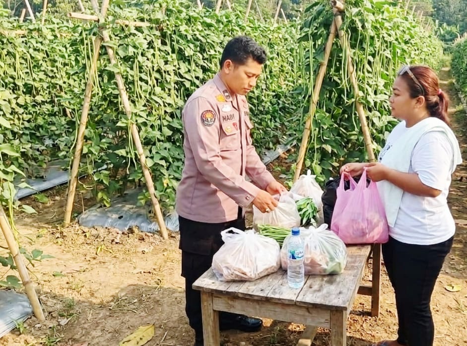 Dukung Ketahanan Pangan, Polsek Pangkalan Kuras Lakukan Pengecekan Lahan Bergizi Warga