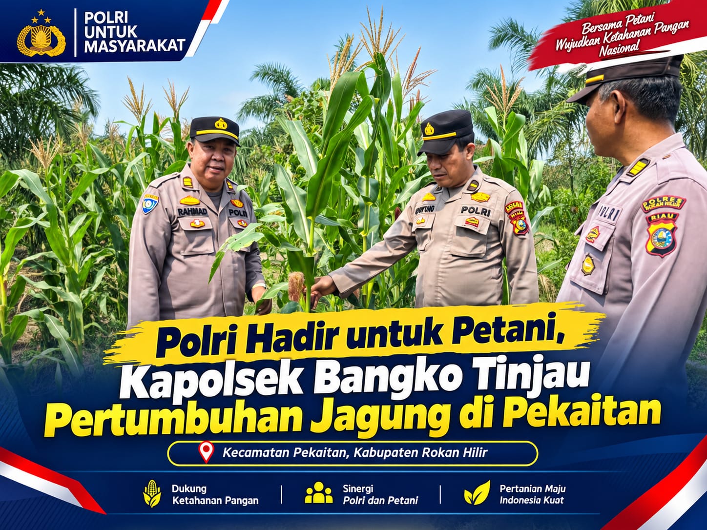 Polri Hadir untuk Petani, Kapolsek Bangko Tinjau Pertumbuhan Jagung di Pekaitan
