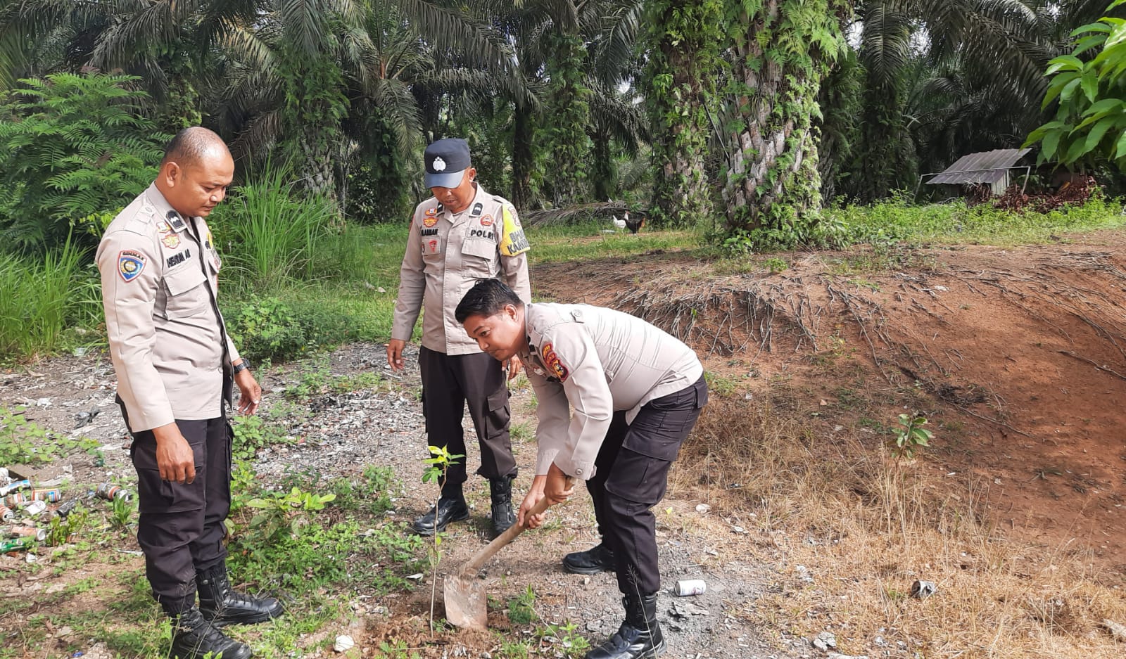 Tanam Cempedak, Polsek Batang Cenaku Gaungkan Green Policing dan Gerakan Cinta Lingkungan