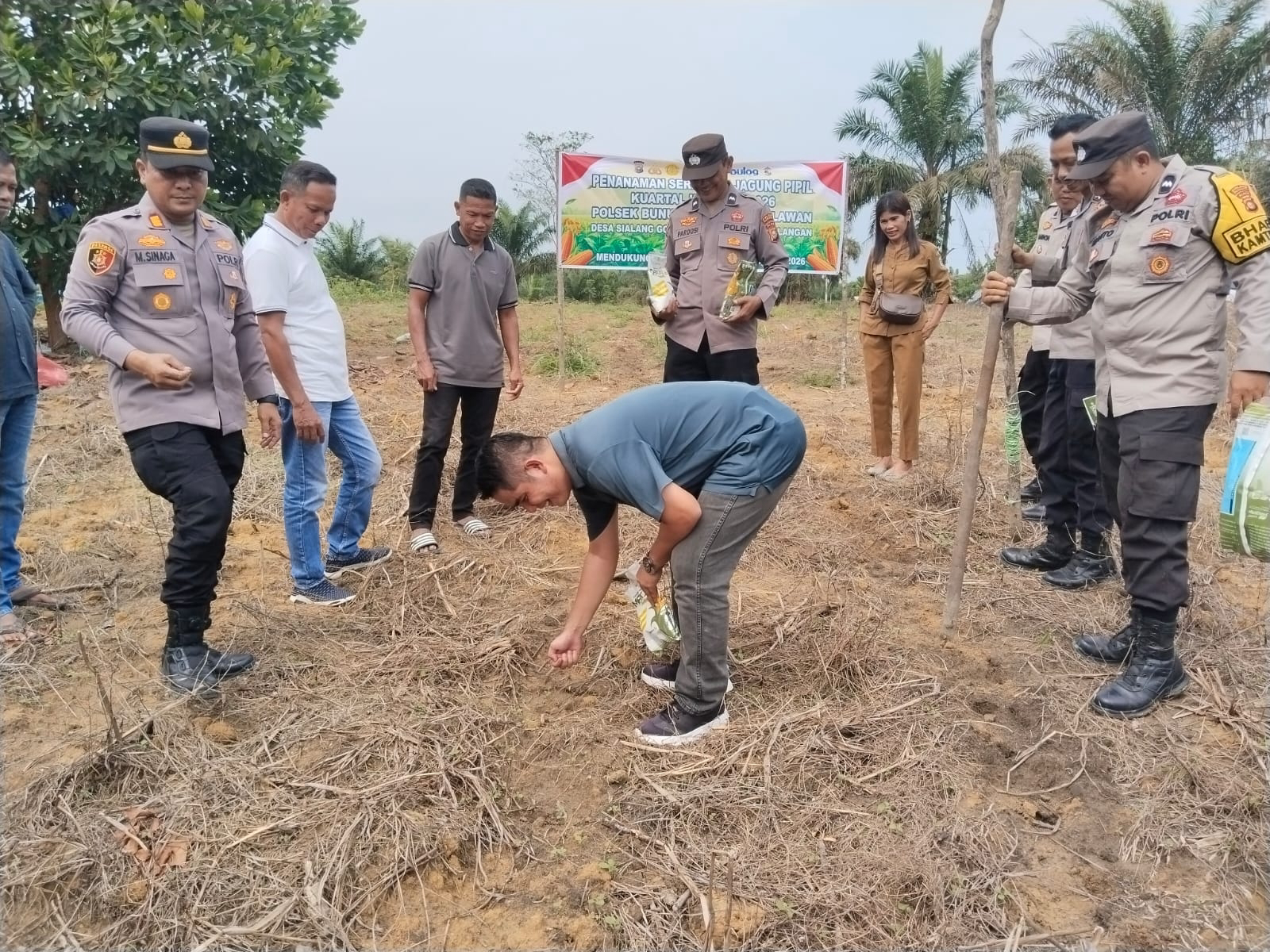 Dukung Ketahanan Pangan, Polsek Bunut Tanam Jagung di Lahan 0,8 Hektare