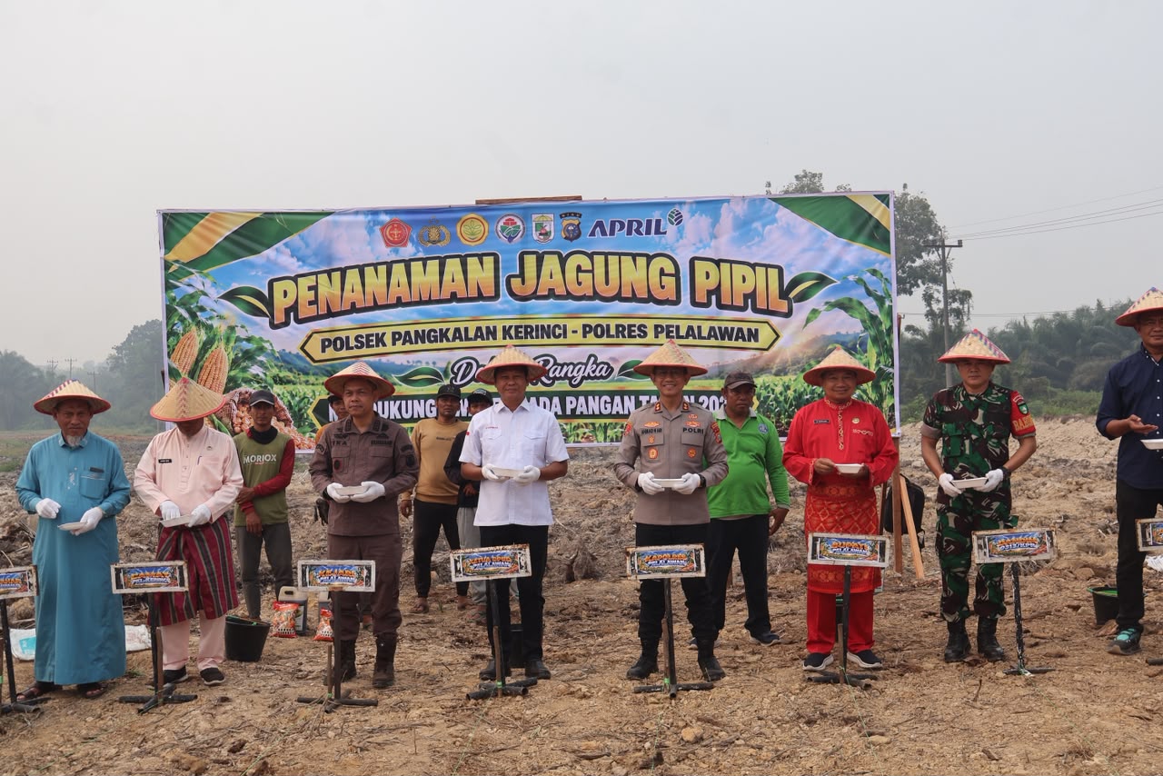  KAPOLRES PELALAWAN PIMPIN TANAM JAGUNG SERENTAK 3 HEKTAR DI MEKAR JAYA