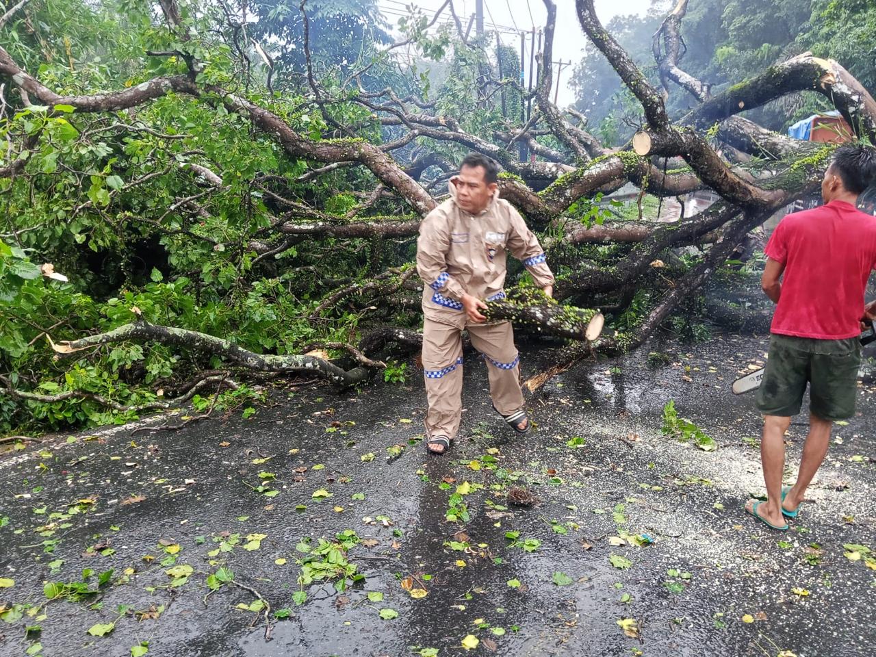 Respon Cepat Polsek Kampar: Pohon Tumbang Akibat Angin Kencang di Km 54 Langsung Dibereskan, Jalan Kembali Normal Polisi Bersama Masyarakat Pohon Tumbang Tutup Akses Jalan PekanbaruBangkinang, Langsung Dievakuasi Bersama