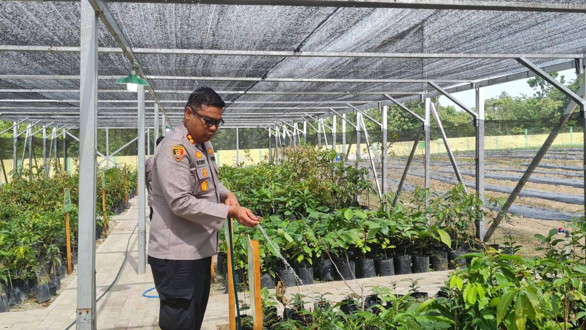 Kapolres Kampar Tunjukkan Kepedulian Lingkungan, Siram Bibit di Bank Pohon Polres Kampar