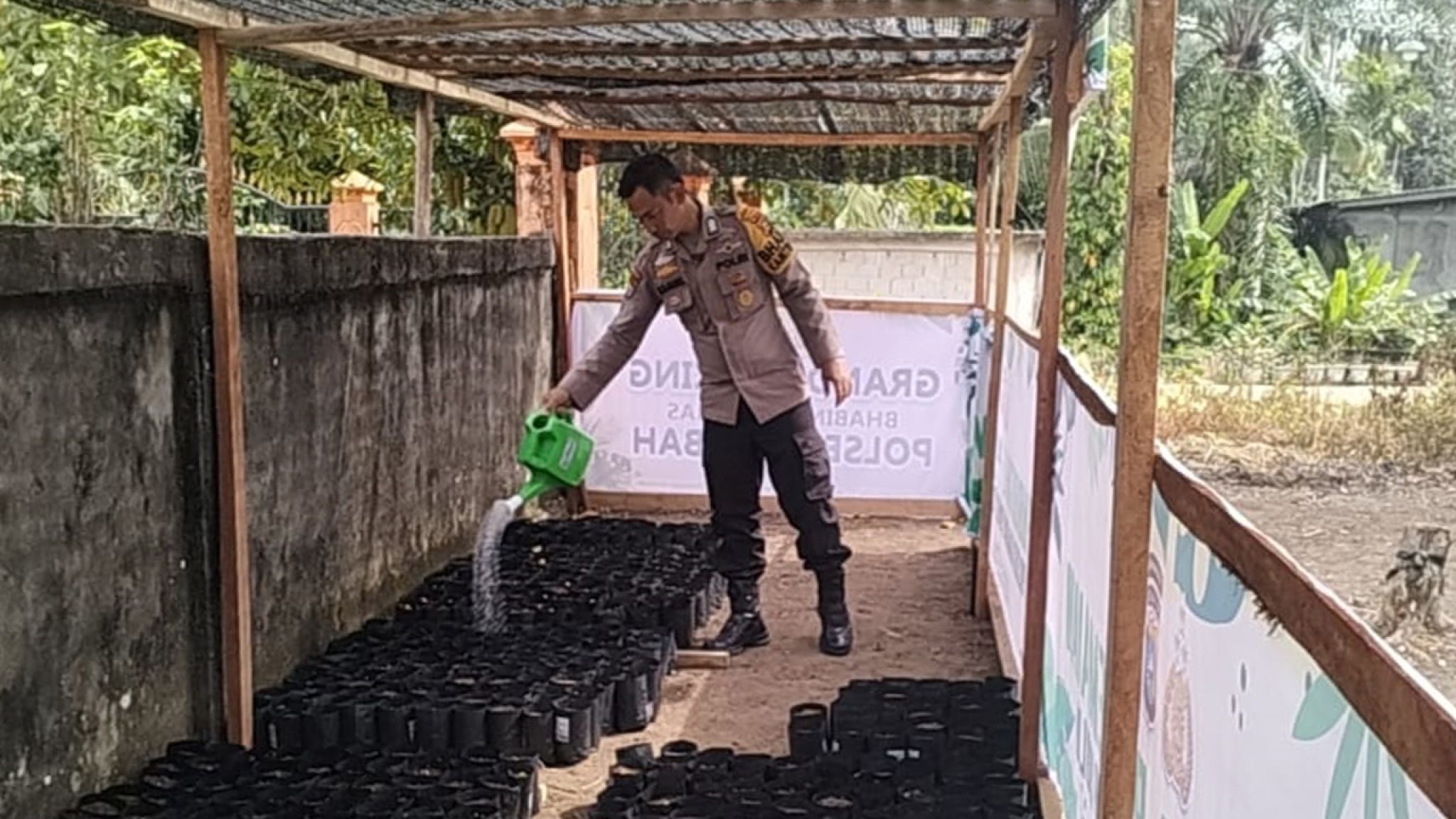 Dukung Totalitas Program Green Policing, Polsek Rambah Awasi Pertumbuhan 1.000 Bibit Pohon Produktif di Koto Tinggi