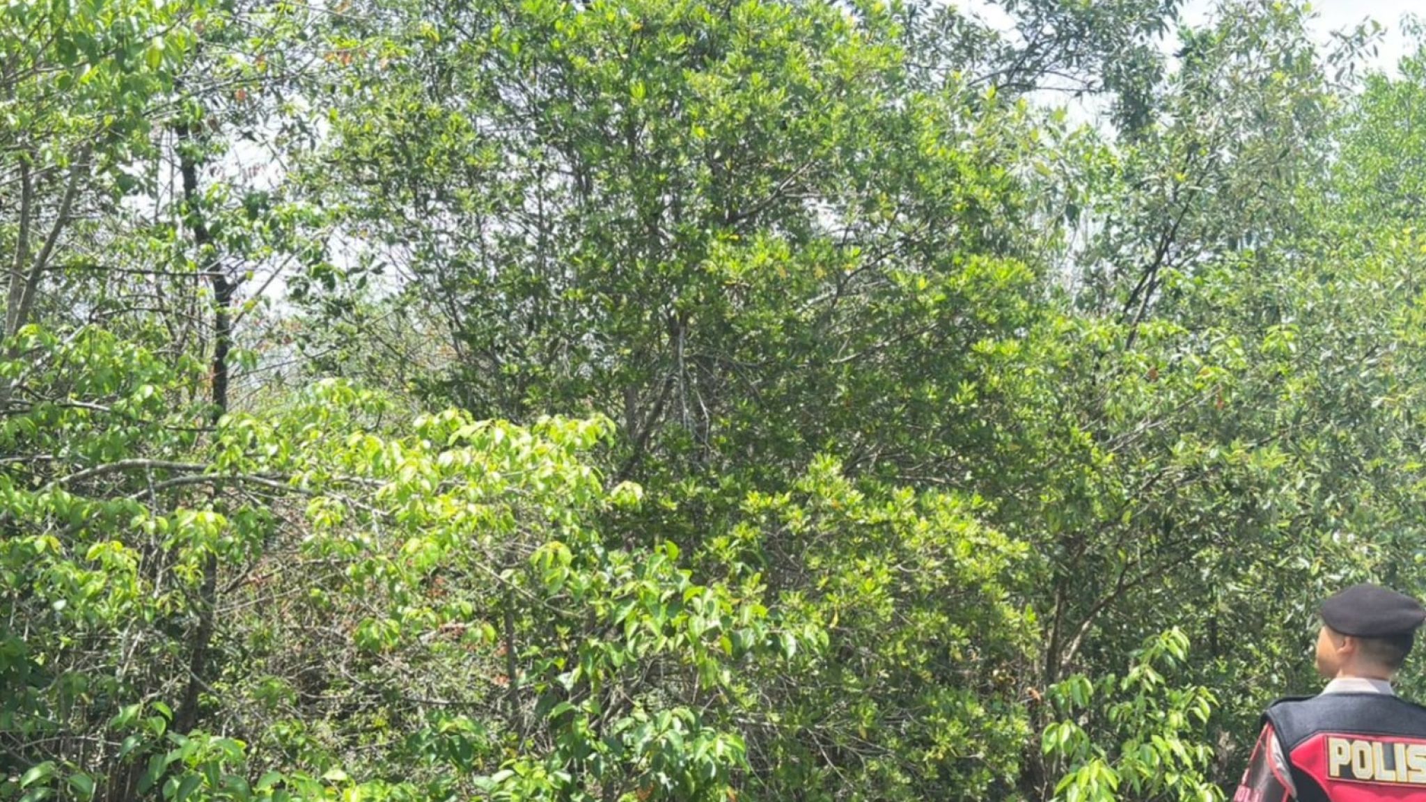 Sat Samapta Polres Kepulauan Meranti Laksanakan Patroli Cegah Karhutla di Wilayah Tebing Tinggi