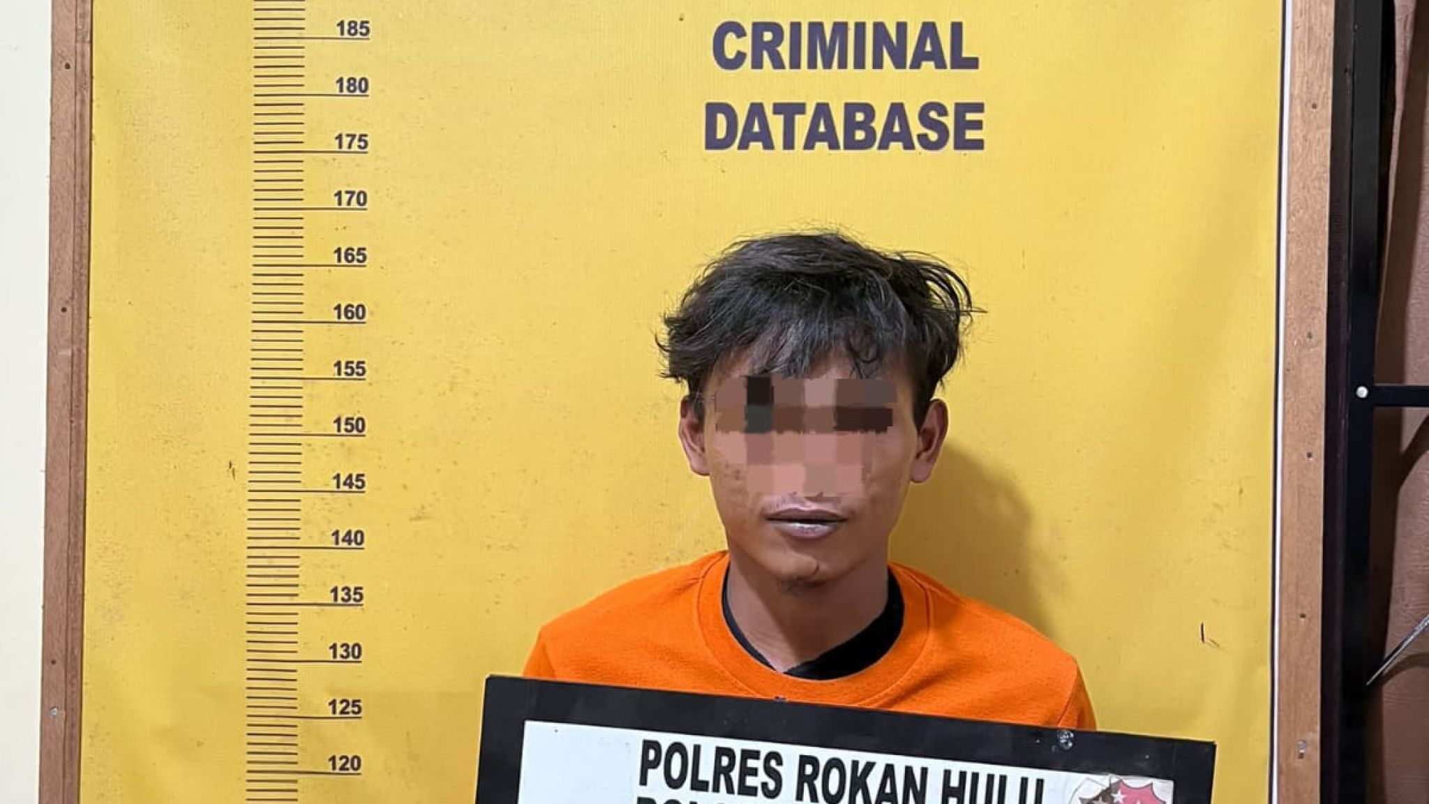 Ketahuan Gelapkan Berondolan Sawit, Karyawan PT PISP II Diamankan Polsek Kepenuhan