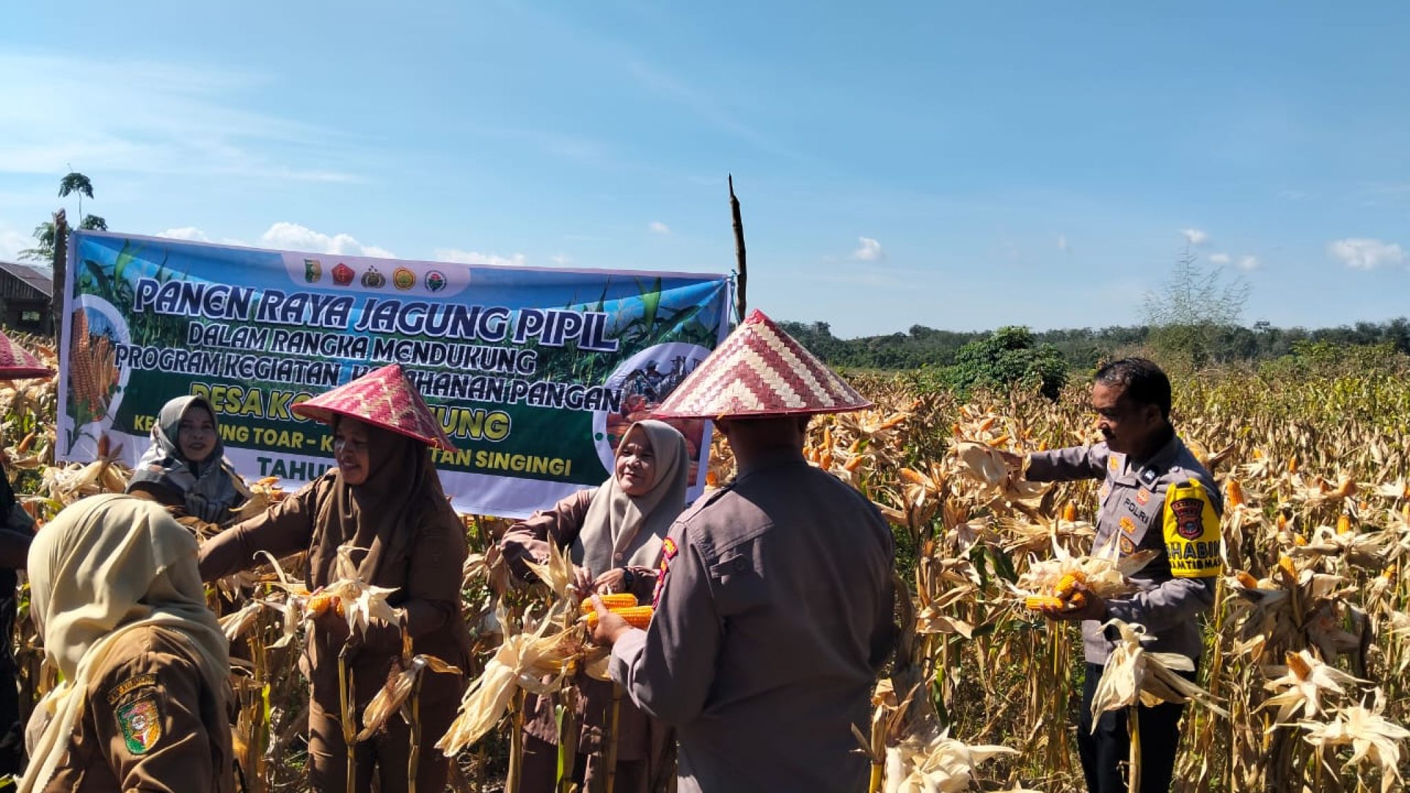 Kapolres Kuansing AKBP Raden Ricky Pratidiningrat S.I.K., M.H Dukung Swasembada Pangan Lewat Panen Raya Jagung Pipil di Singingi dan Gunung Toar