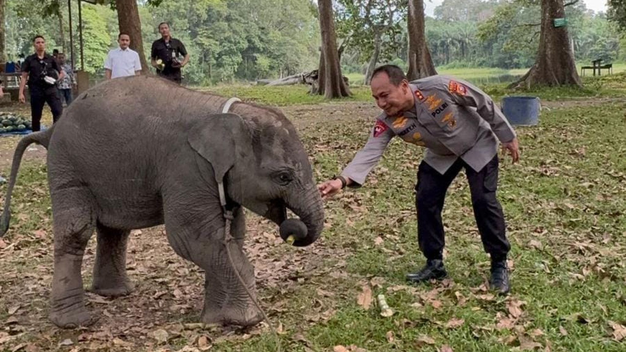 Sembari Patroli, Kapolda Riau Kunjungi Keluarga Gajah di TWA Buluh Cina